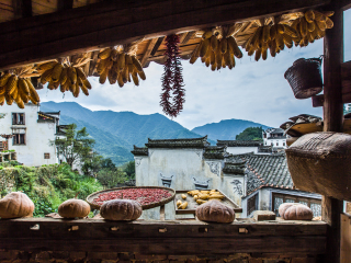 黃山旅游花費(fèi)一般多少_黃山游特價(jià)團(tuán)_黃山跟團(tuán)還是自由行