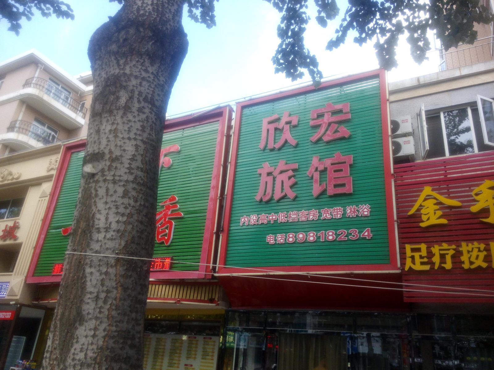 外观