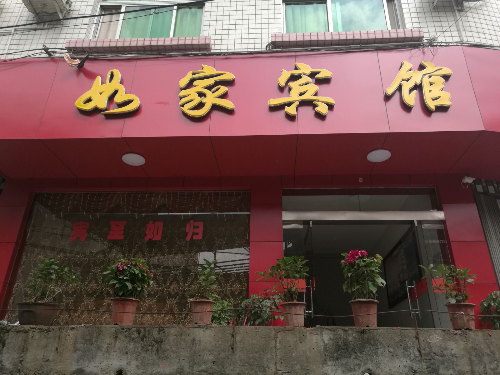 外观