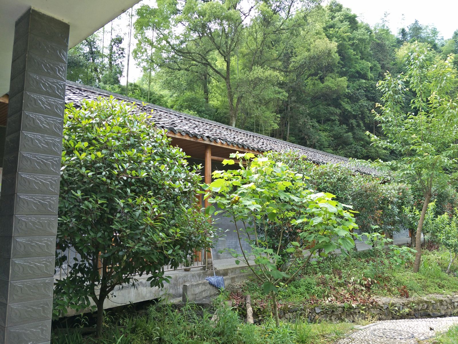 公共区域