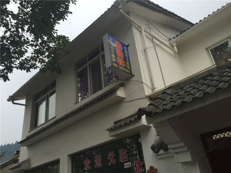 彭州香樟林