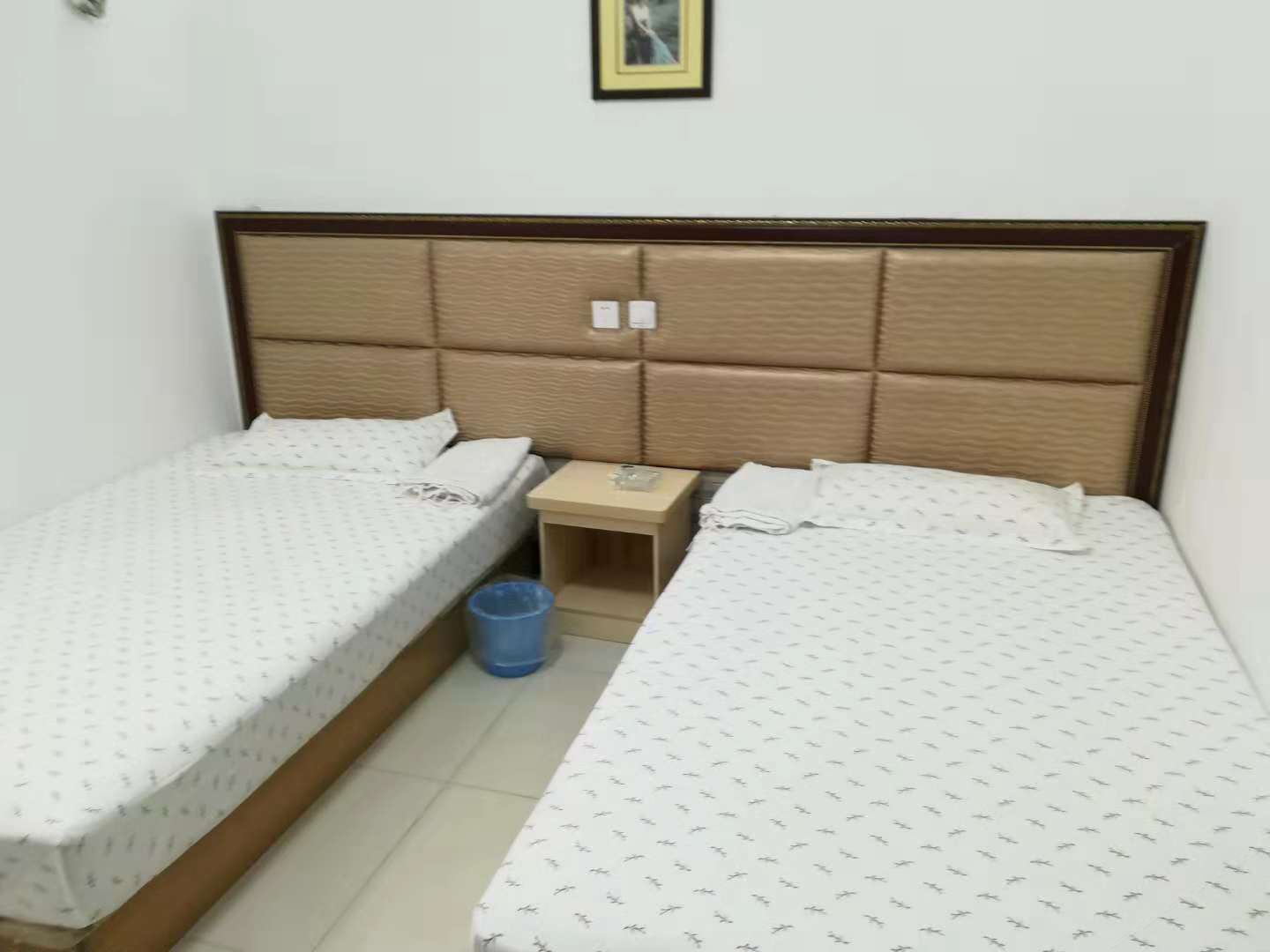 普通双床房
