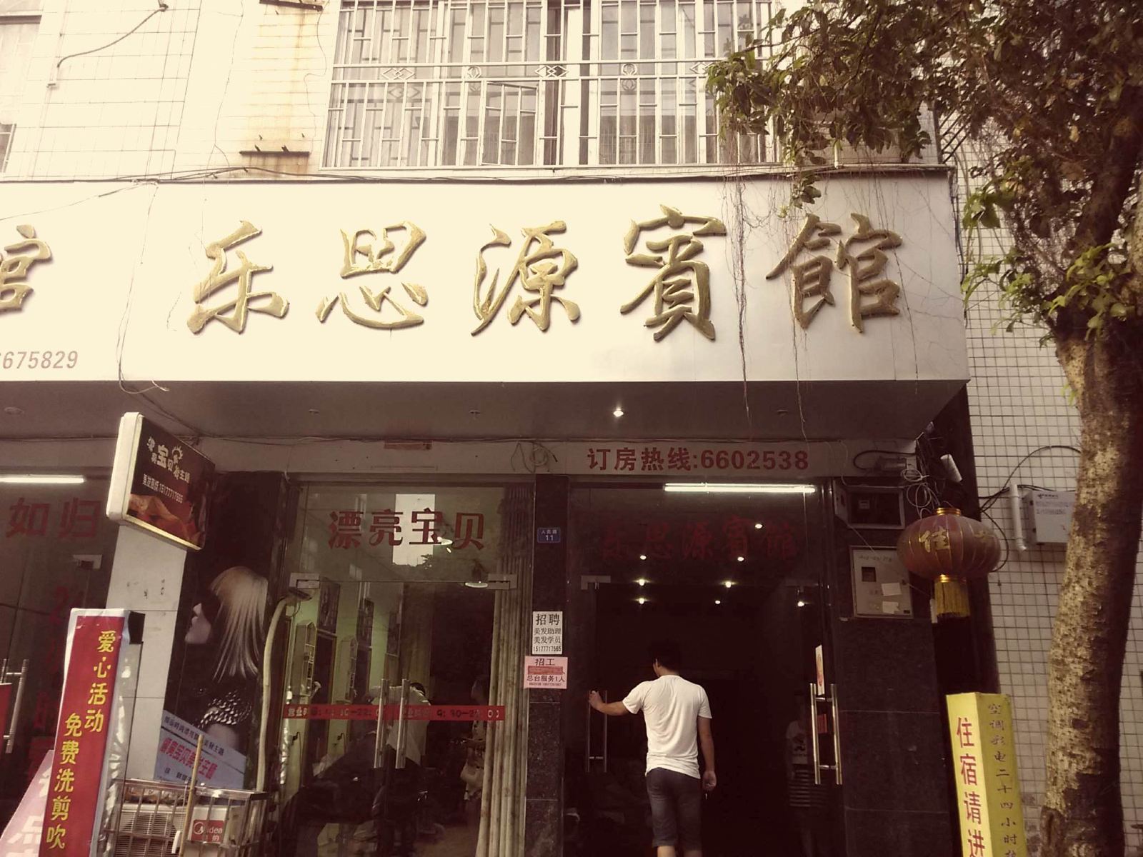外观