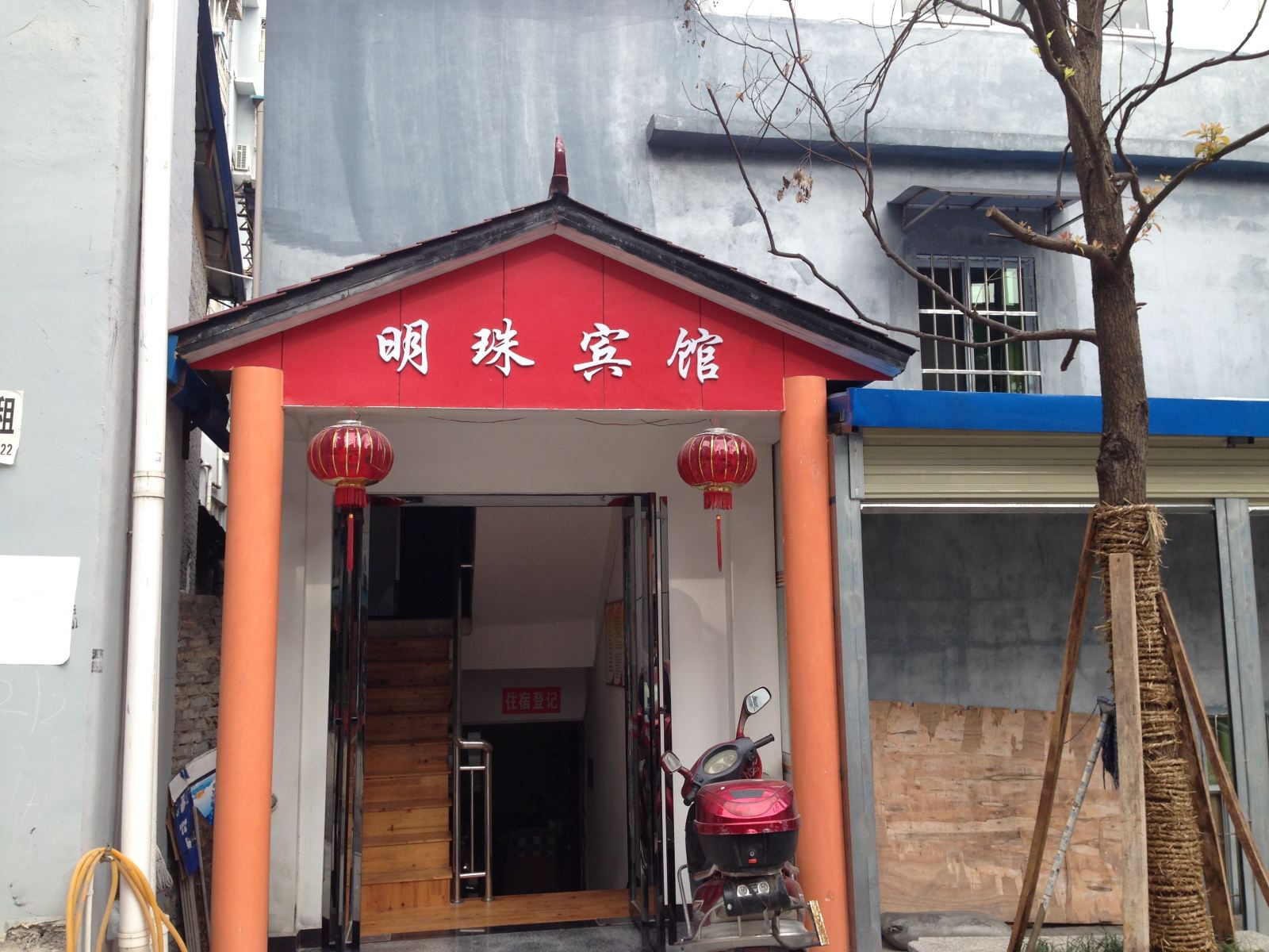 外观