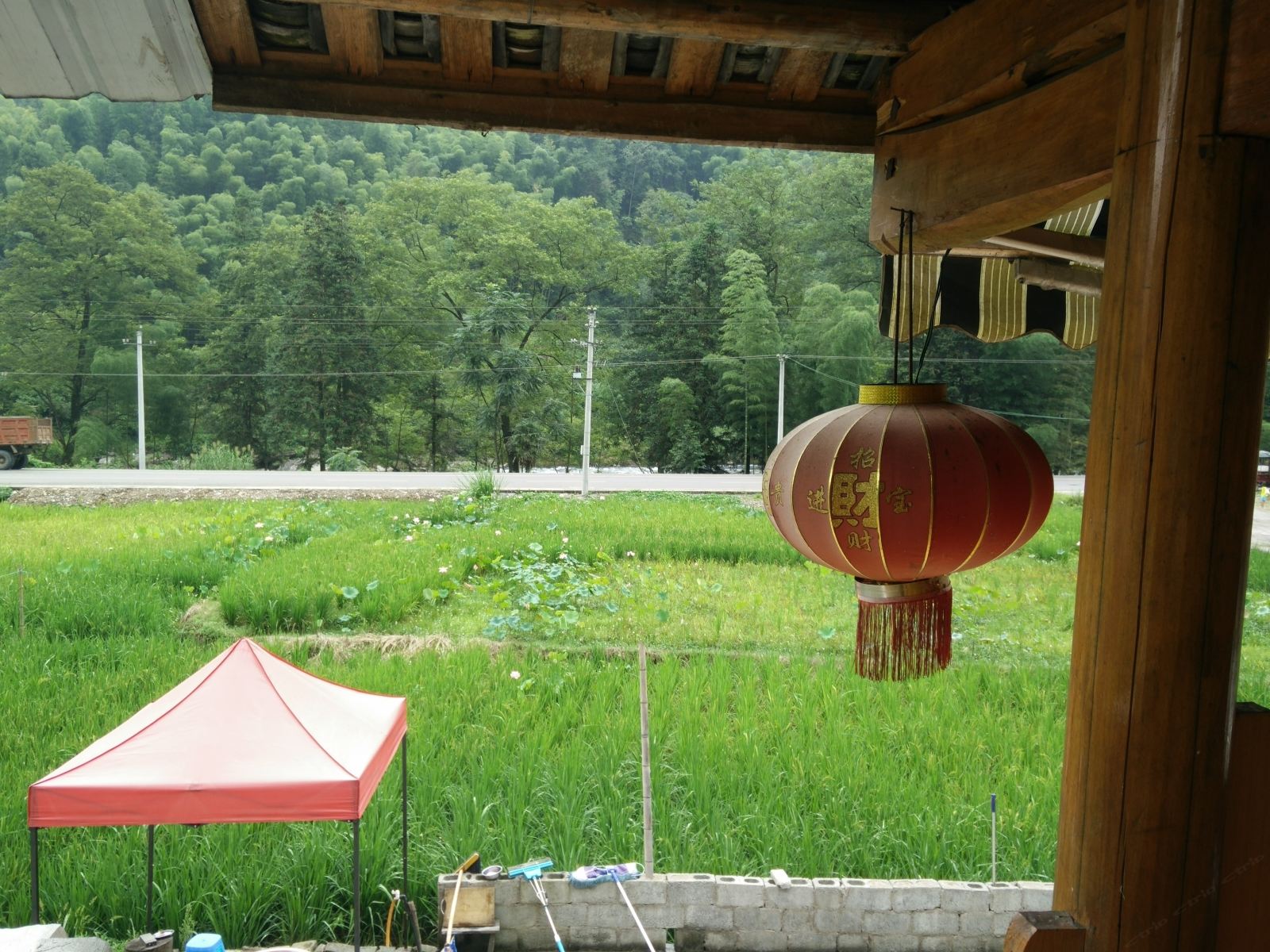 公共区域