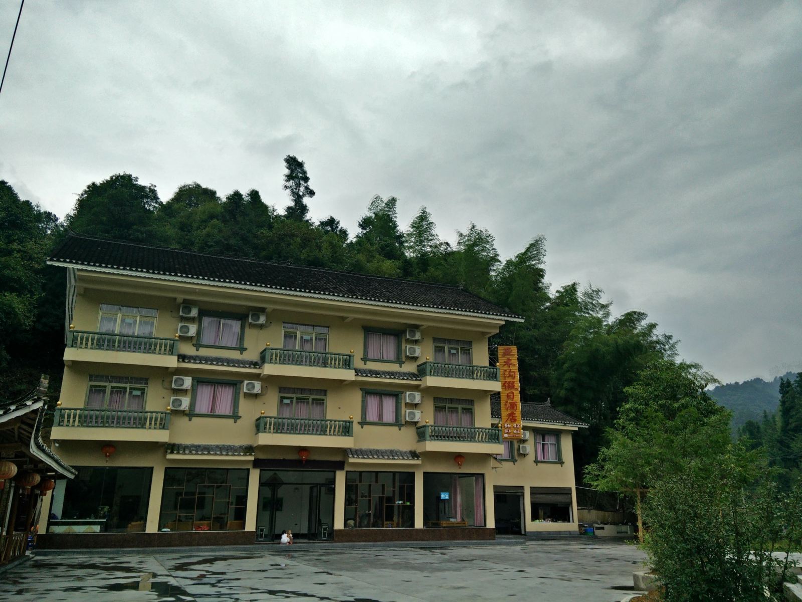 外观