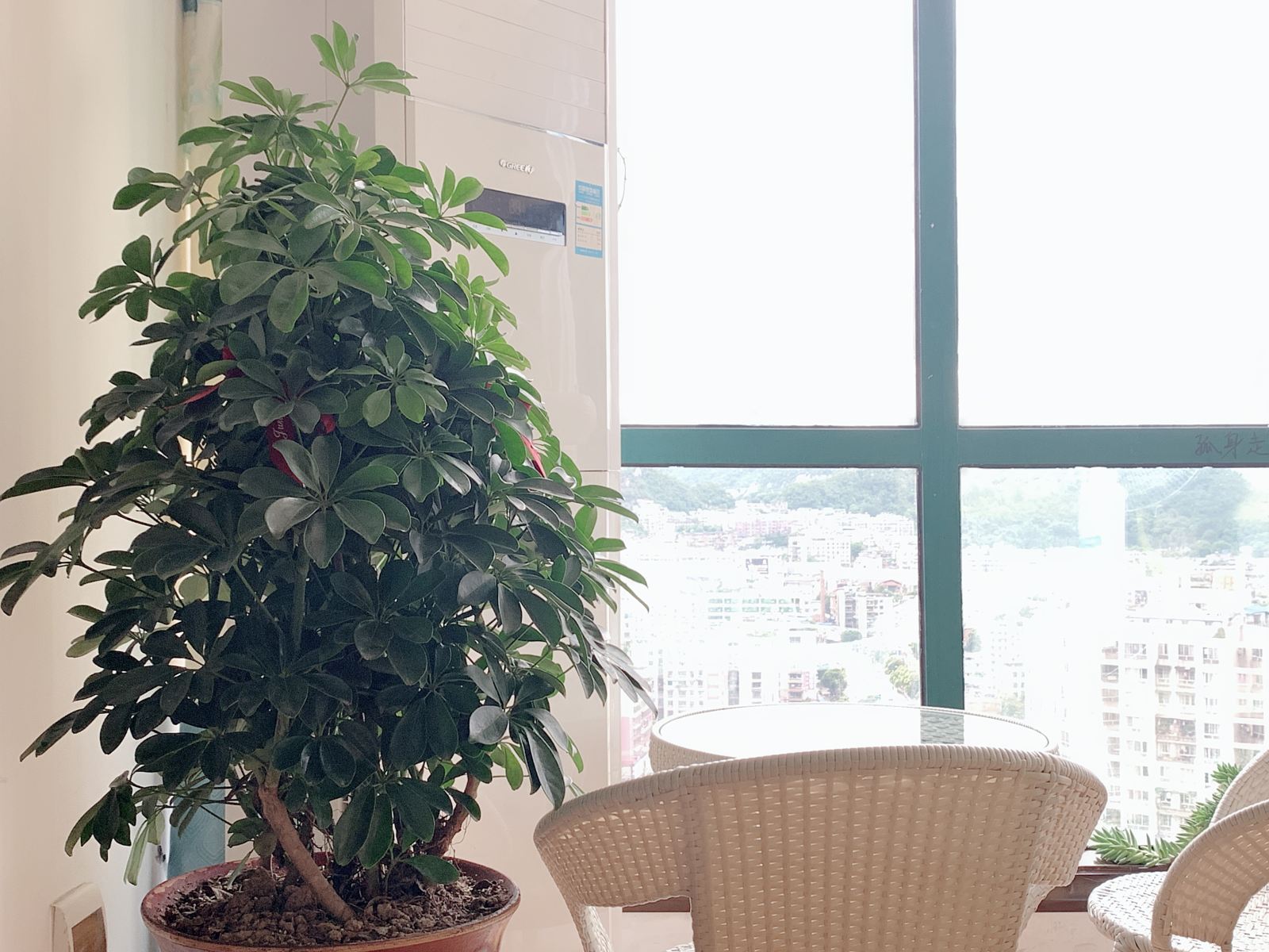经济舱十人间(床位房)