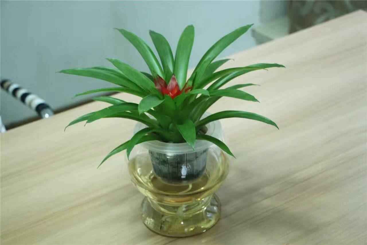 复式精品双床间