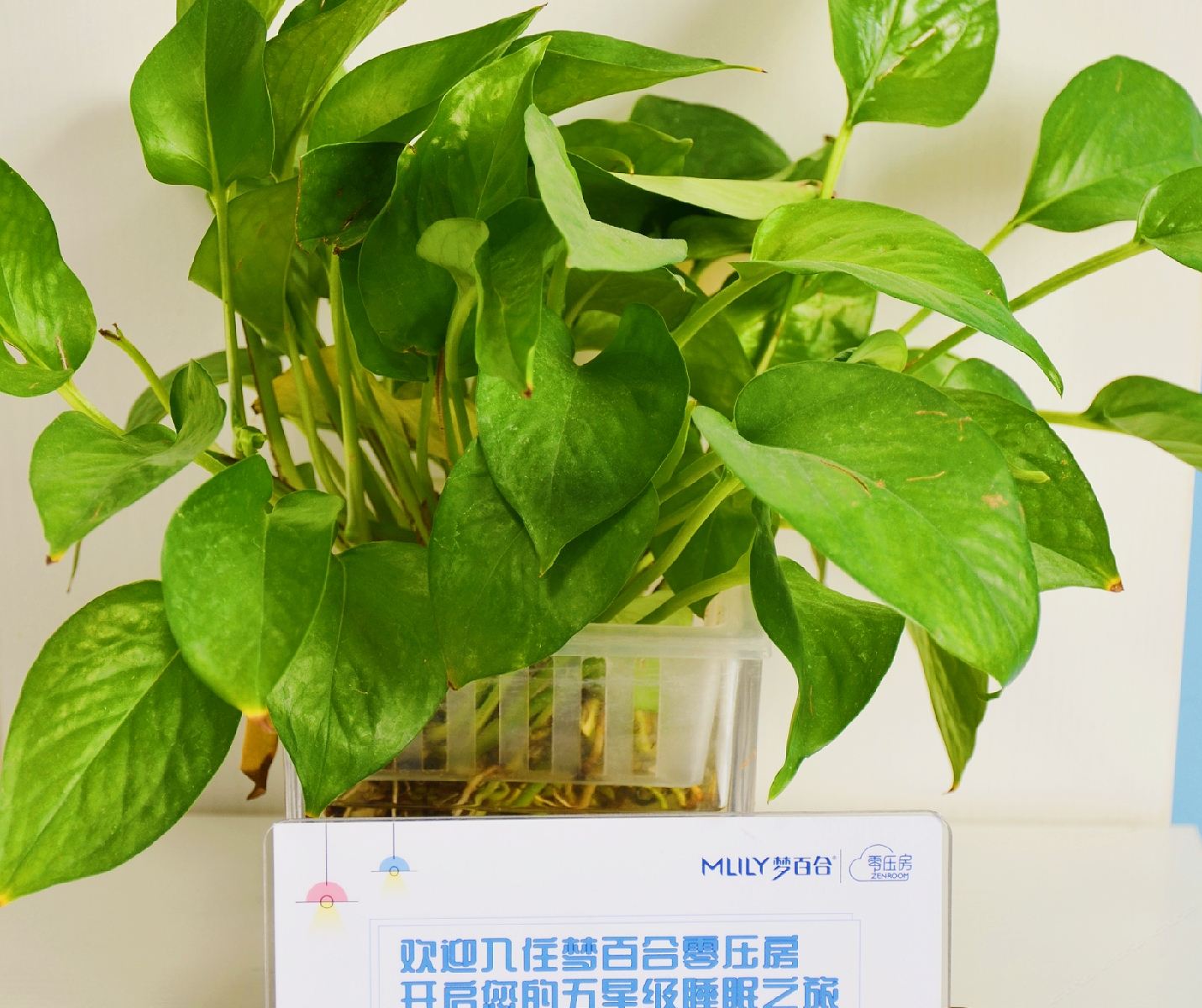 零压时尚大床房