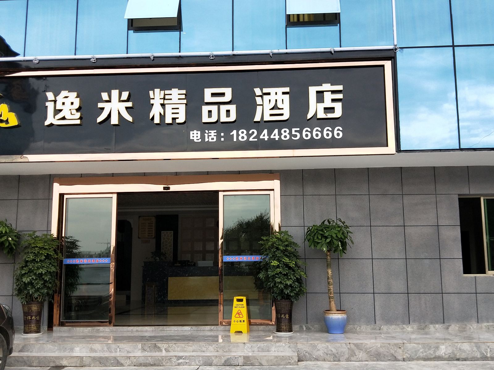 外观