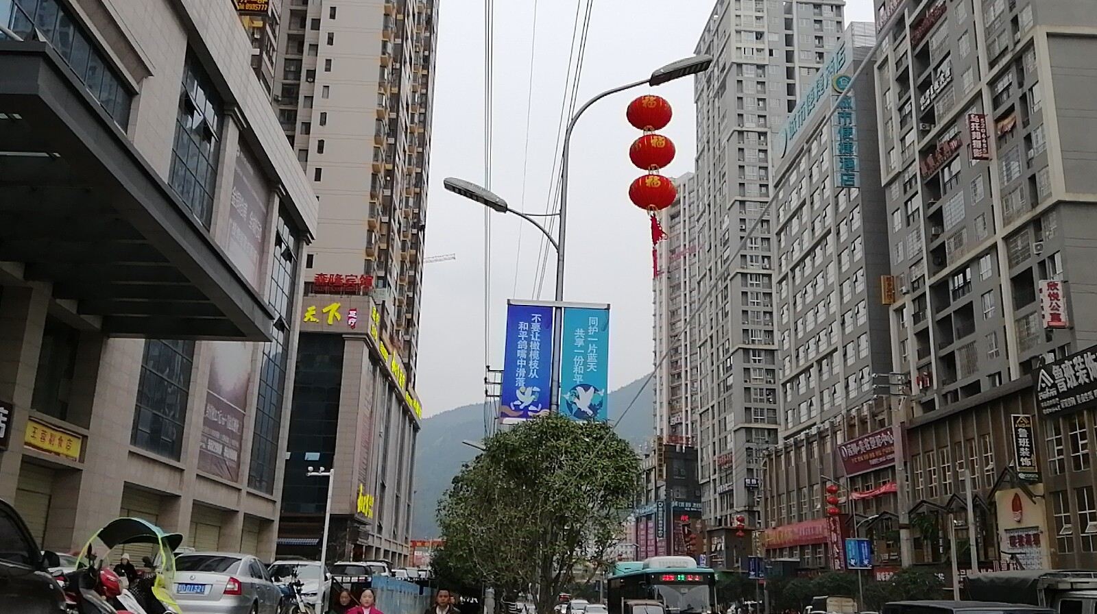 外观