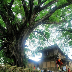 景点模块 