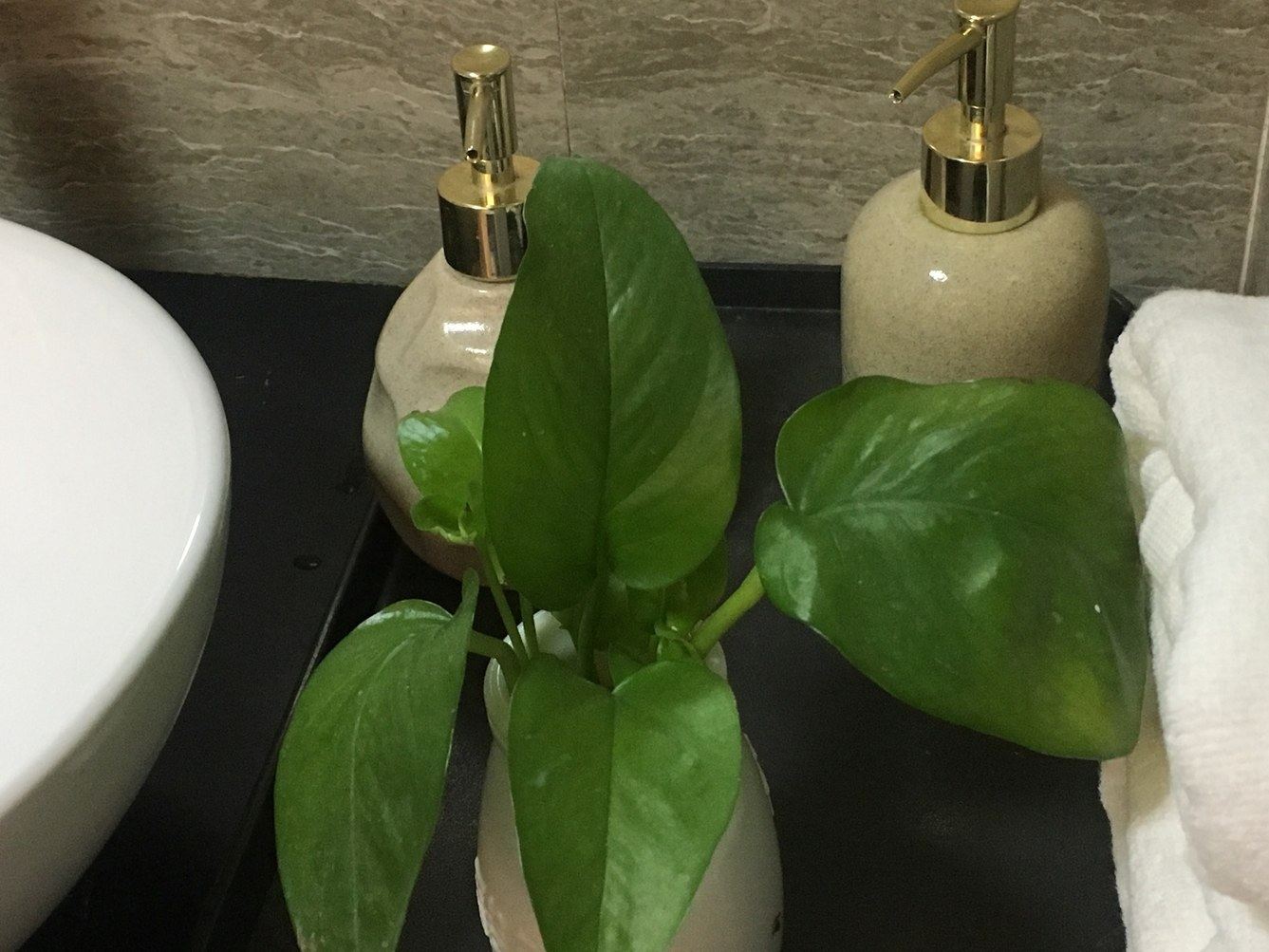 舒适临河大床房78