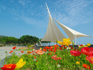 去廈門鼓浪嶼靠譜的旅行團_廈門鼓浪嶼旅游跟團需多少錢