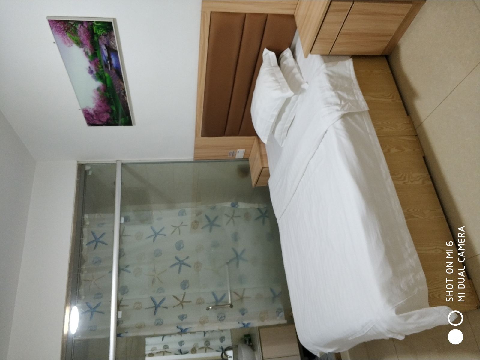 经济大床房(无窗)