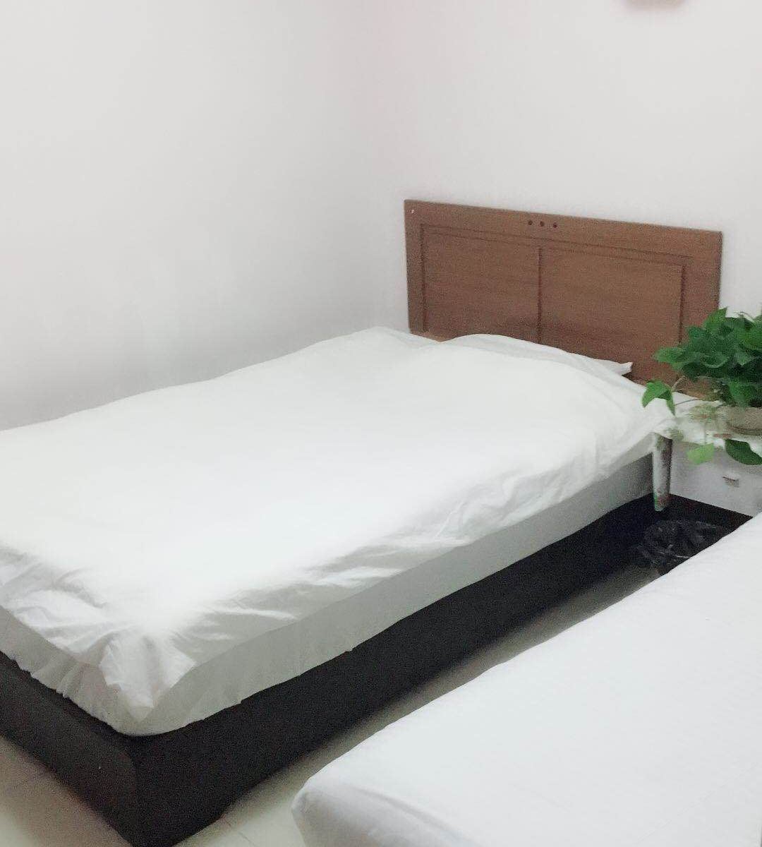 标准双床房(无窗)