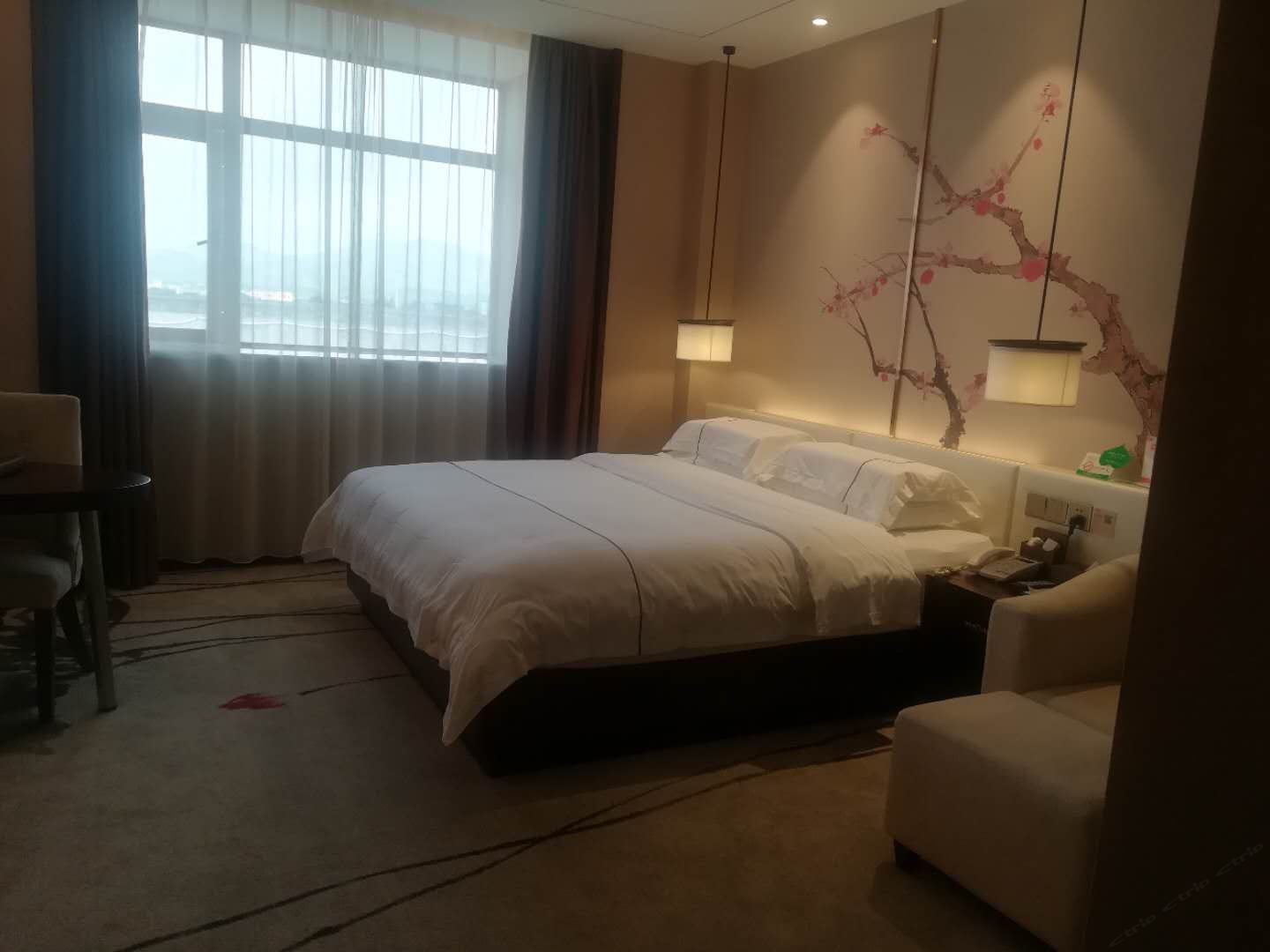 智能音乐减压豪华大床房