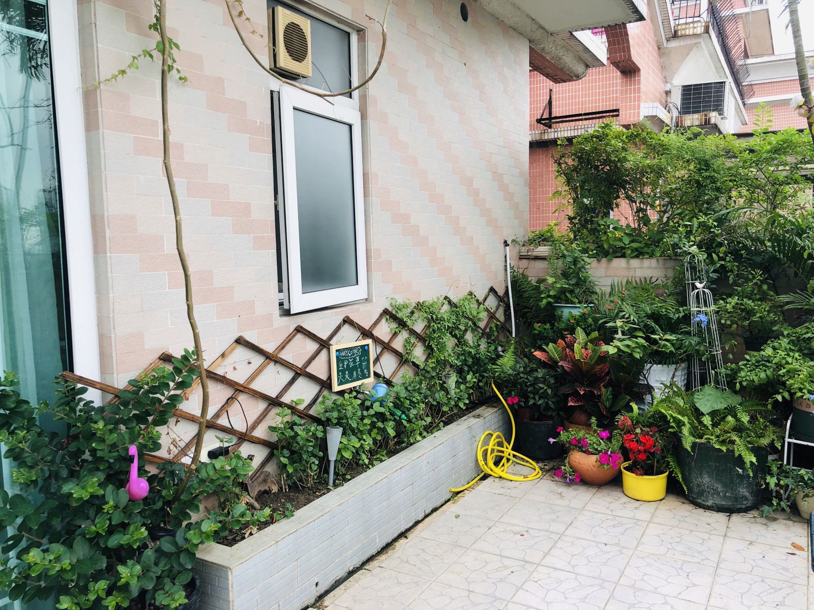 天台花园大床房