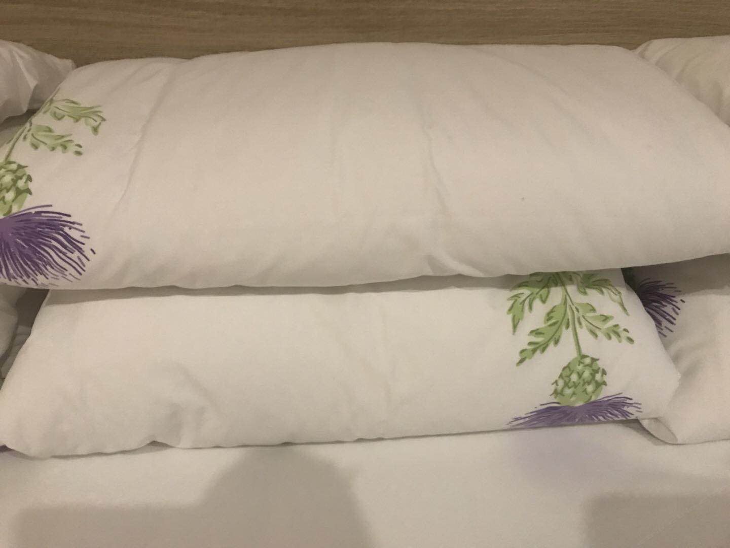 高级双床房