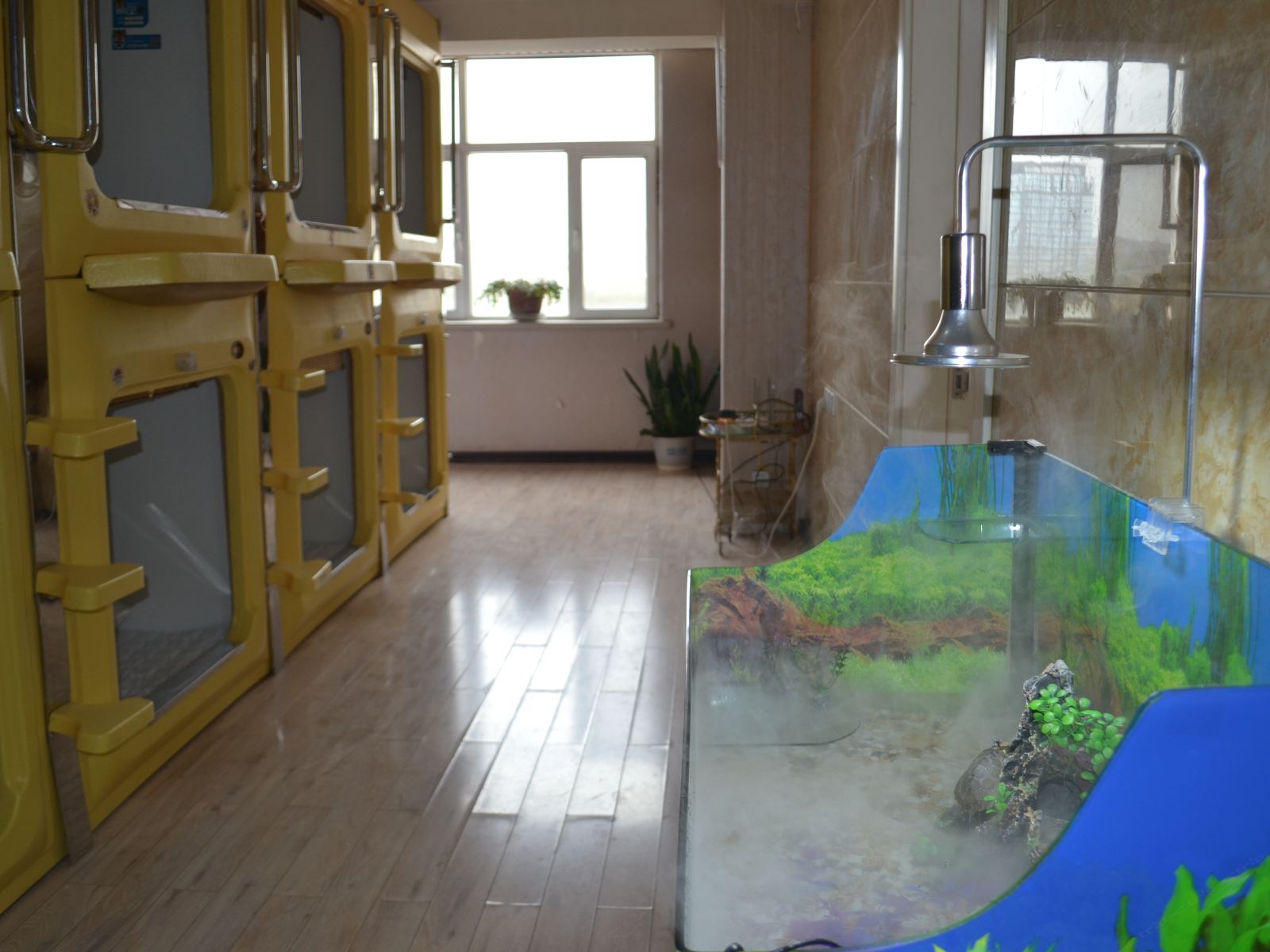 经济舱