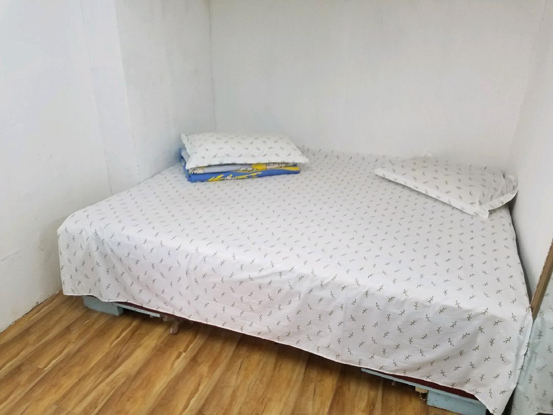 普通大床房