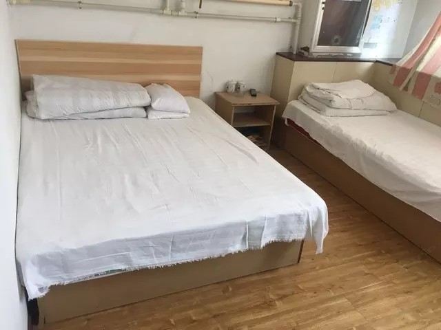 标准双床房