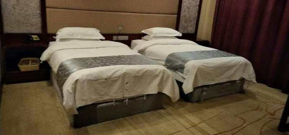 精致双床房(无窗)