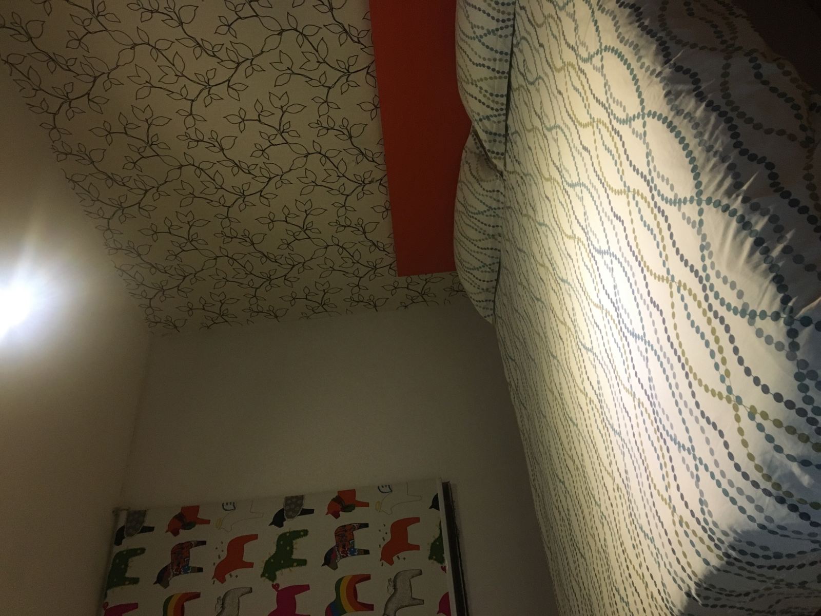 大床房C(无窗)
