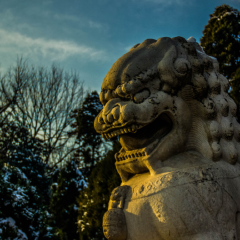 景点模块 