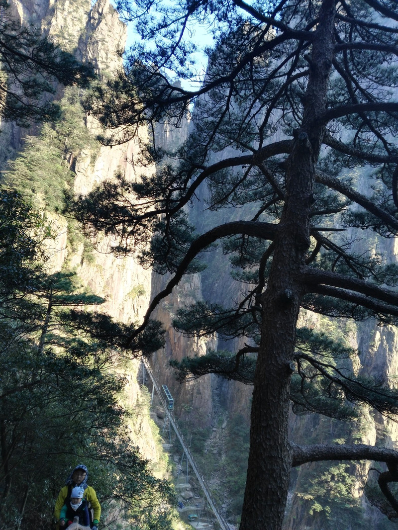 天外飞石成奇景,我行天都自逍遥_黄山游记_途牛