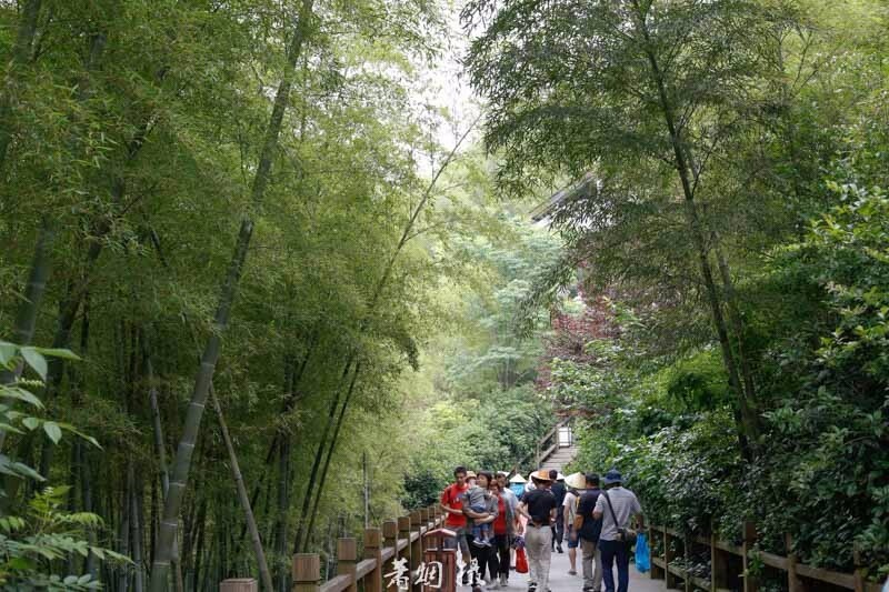 南山竹海——绿林静界半日闲【多图】_常州游记_途牛