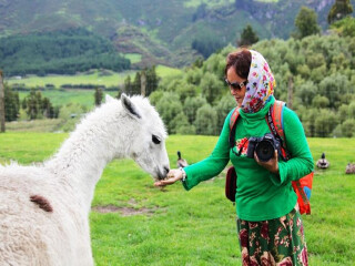 新西兰旅游签证费用_春节新西兰自驾游_去新西兰旅游网络