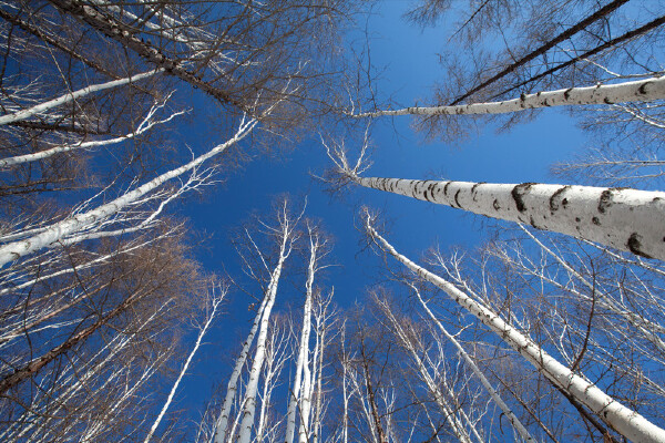 无锡去漠河自驾游路线_行程安排_景点推荐