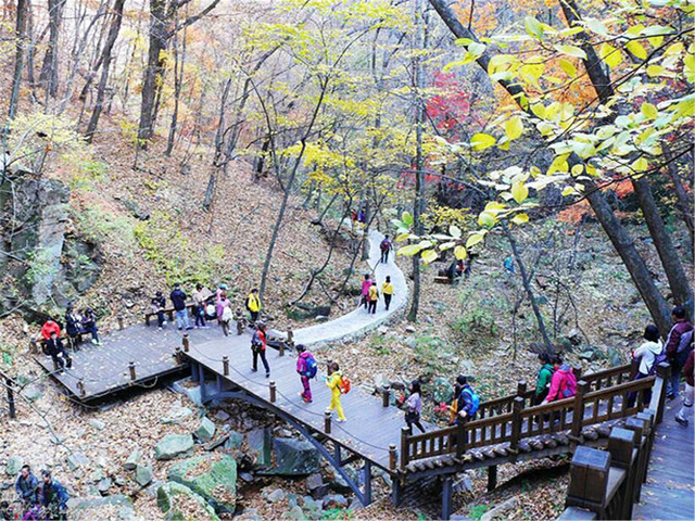  本溪枫林谷1日游>包含往返车费和景区门票