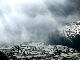 云南元陽梯田旅游組團(tuán)_云南元陽梯田自由行組團(tuán)_云南元陽梯田跟團(tuán)游與自由行