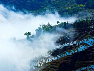 云南元陽梯田旅游組團(tuán)_云南元陽梯田自由行組團(tuán)_云南元陽梯田跟團(tuán)游與自由行