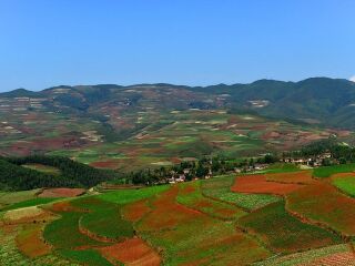 云南元陽梯田旅游組團(tuán)_云南元陽梯田自由行組團(tuán)_云南元陽梯田跟團(tuán)游與自由行