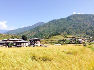 去尼泊爾旅游要帶多少錢_尼泊爾2人旅游需要多少錢_旅行團(tuán)尼泊爾游