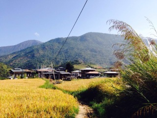 去尼泊爾旅游要帶多少錢_尼泊爾2人旅游需要多少錢_旅行團(tuán)尼泊爾游