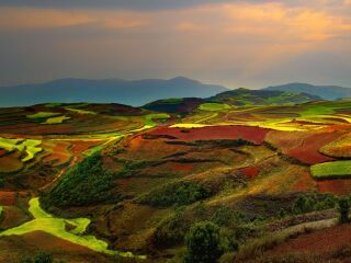 云南元陽梯田旅游組團(tuán)_云南元陽梯田自由行組團(tuán)_云南元陽梯田跟團(tuán)游與自由行