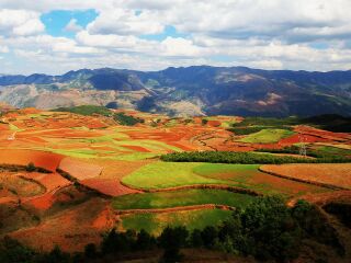 云南元陽梯田旅游組團(tuán)_云南元陽梯田自由行組團(tuán)_云南元陽梯田跟團(tuán)游與自由行