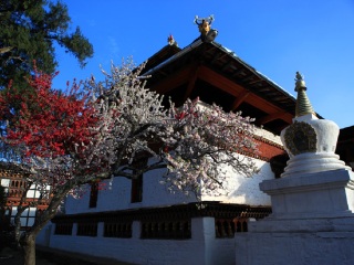 去尼泊爾旅游要帶多少錢_尼泊爾2人旅游需要多少錢_旅行團(tuán)尼泊爾游