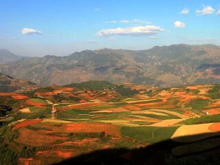 云南元陽梯田旅游組團(tuán)_云南元陽梯田自由行組團(tuán)_云南元陽梯田跟團(tuán)游與自由行