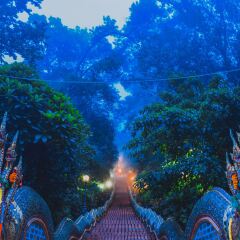 景点模块 