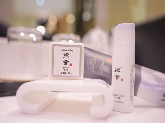 商务间双床