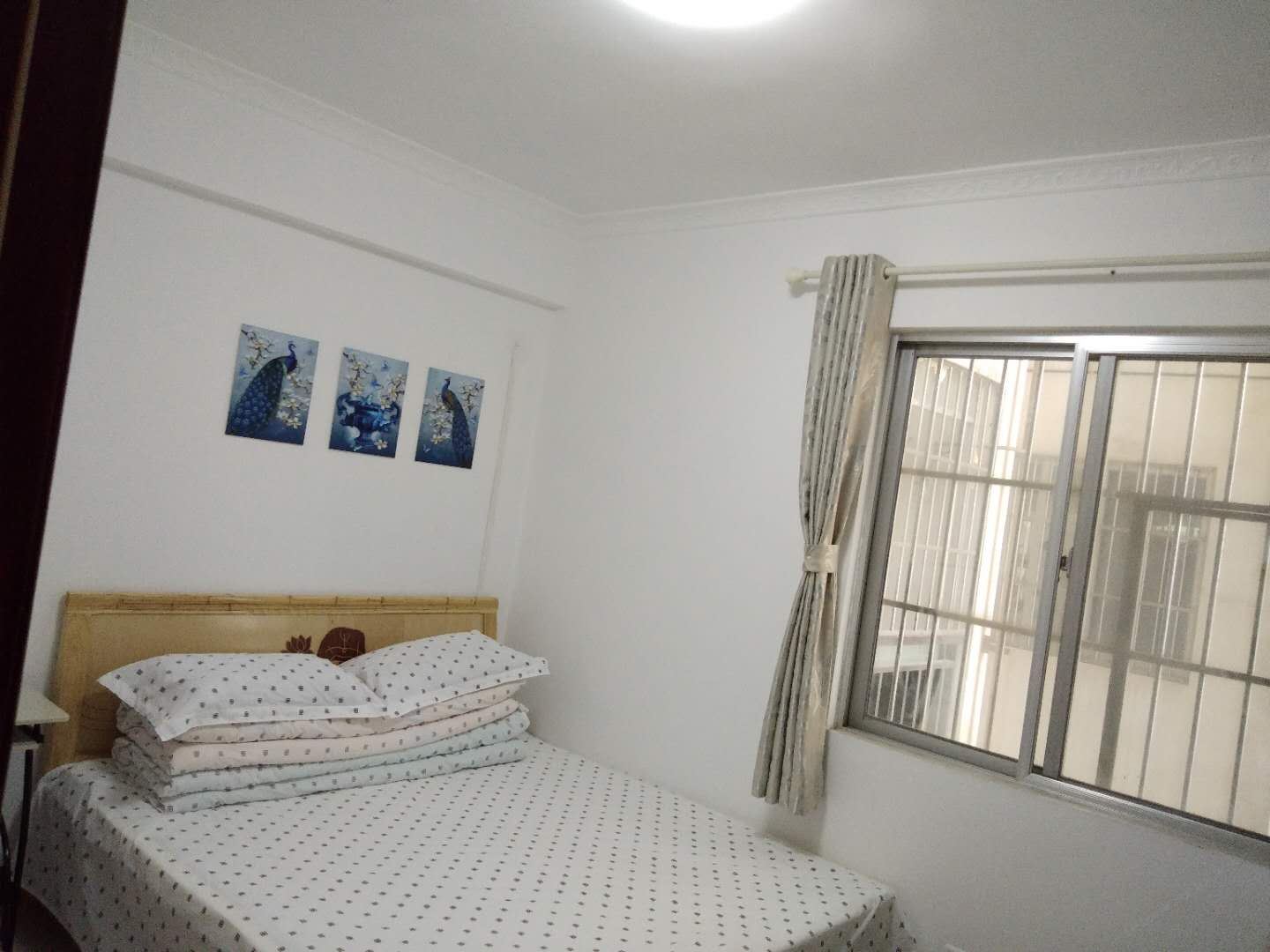 舒适大床房