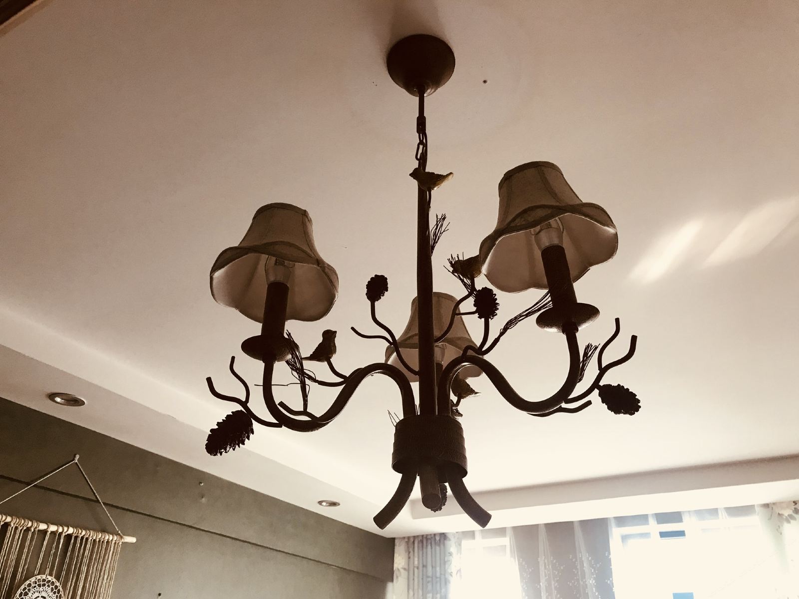 亲爱的等风来