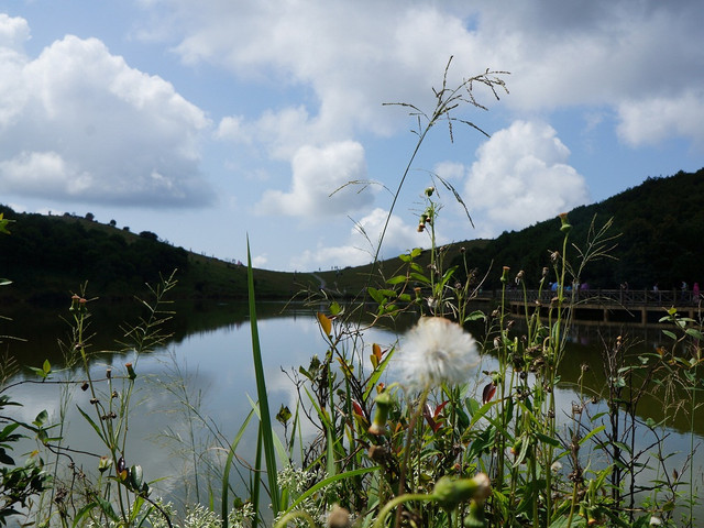 天池草场