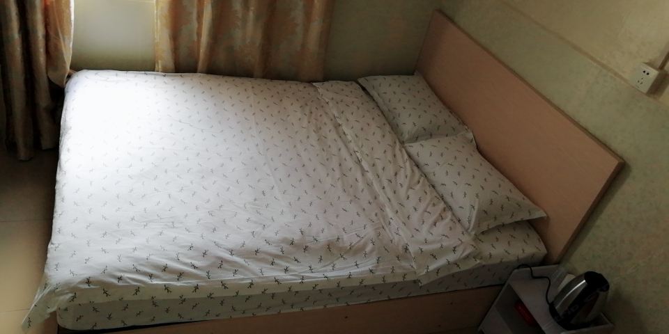 标准大床房