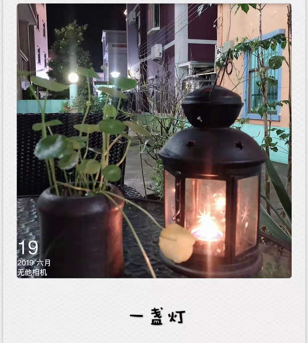 标准双床房
